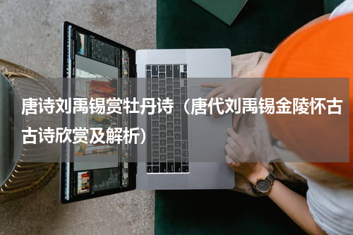 唐诗刘禹锡赏牡丹诗（唐代刘禹锡金陵怀古古诗欣赏及解析）