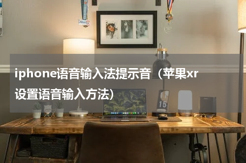 iphone语音输入法提示音（苹果xr设置语音输入方法）