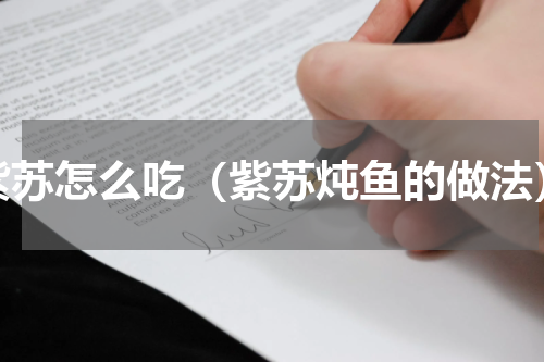 紫苏怎么吃（紫苏炖鱼的做法）