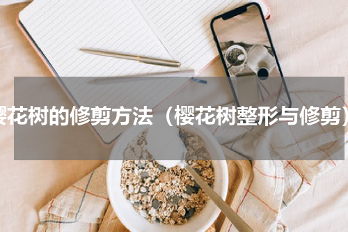 樱花树的修剪方法（樱花树整形与修剪）