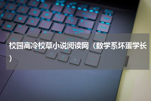 校园高冷校草小说阅读网（数学系坏蛋学长）