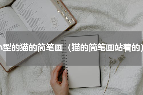 小型的猫的简笔画（猫的简笔画站着的）