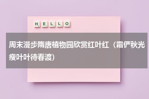 周末漫步隋唐植物园欣赏红叶红（霜俨秋光瘦叶叶待春渡）