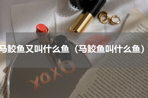 马鲛鱼又叫什么鱼（马鲛鱼叫什么鱼）