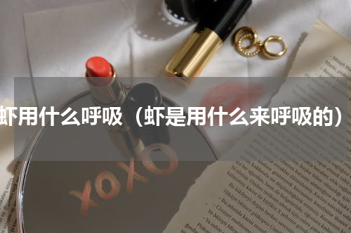 虾用什么呼吸（虾是用什么来呼吸的）