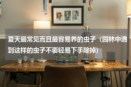 夏天最常见而且最容易养的虫子（园林中遇到这样的虫子不要轻易下手除掉）