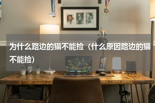 为什么路边的猫不能捡（什么原因路边的猫不能捡）