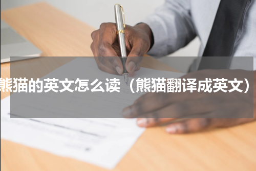 熊猫的英文怎么读（熊猫翻译成英文）