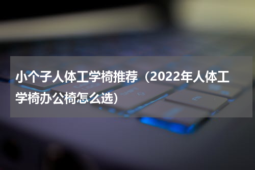 小个子人体工学椅推荐（2022年人体工学椅办公椅怎么选）