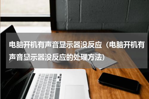 电脑开机有声音显示器没反应（电脑开机有声音显示器没反应的处理方法）