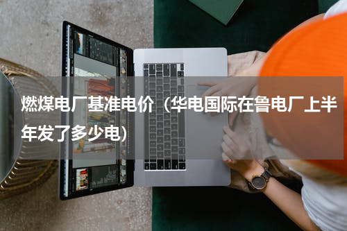 燃煤电厂基准电价（华电国际在鲁电厂上半年发了多少电）