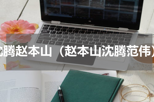 沈腾赵本山（赵本山沈腾范伟）