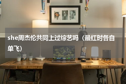 she周杰伦共同上过综艺吗（最红时各自单飞）