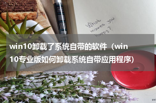 win10卸载了系统自带的软件（win10专业版如何卸载系统自带应用程序）
