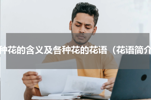 各种花的含义及各种花的花语（花语简介）
