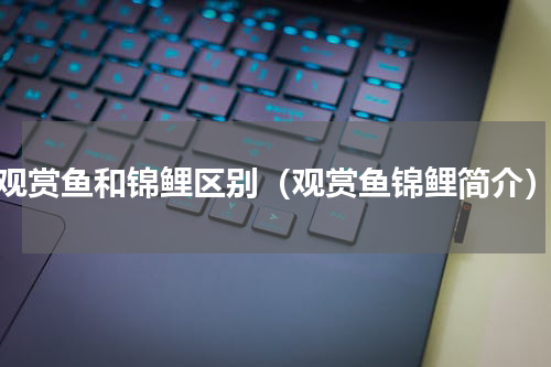 观赏鱼和锦鲤区别（观赏鱼锦鲤简介）