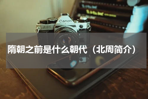 隋朝之前是什么朝代（北周简介）