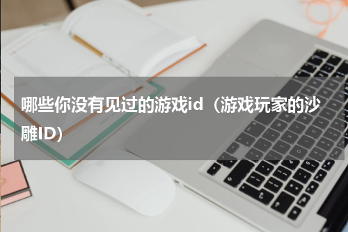 哪些你没有见过的游戏id（游戏玩家的沙雕ID）