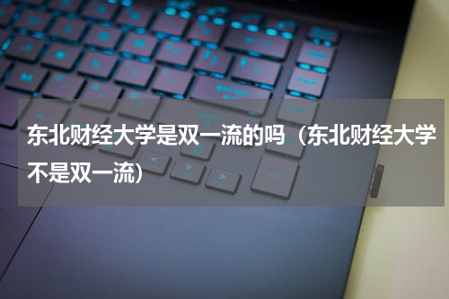 东北财经大学是双一流的吗（东北财经大学不是双一流）
