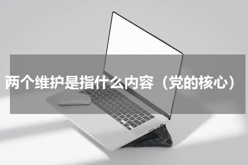 两个维护是指什么内容（党的核心）