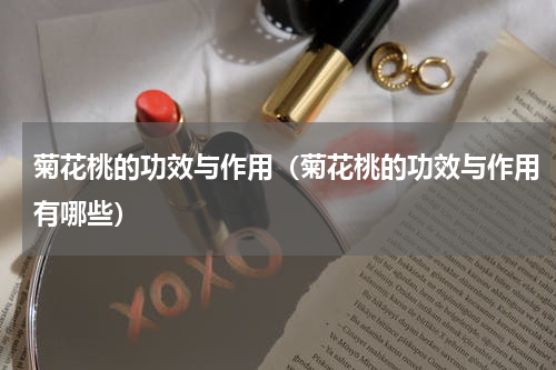 菊花桃的功效与作用（菊花桃的功效与作用有哪些）