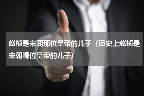 赵祯是宋朝那位皇帝的儿子（历史上赵祯是宋朝哪位皇帝的儿子）