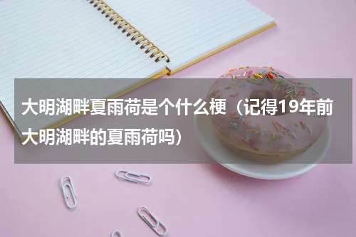 大明湖畔夏雨荷是个什么梗（记得19年前大明湖畔的夏雨荷吗）