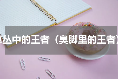 草丛中的王者（臭脚里的王者）