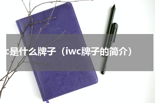 iwc是什么牌子（iwc牌子的简介）