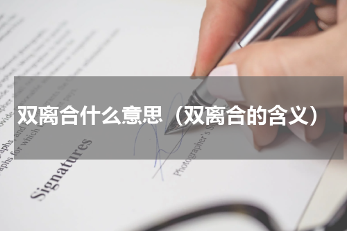 双离合什么意思（双离合的含义）