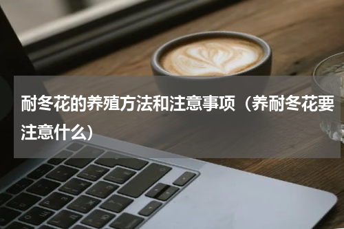 耐冬花的养殖方法和注意事项（养耐冬花要注意什么）