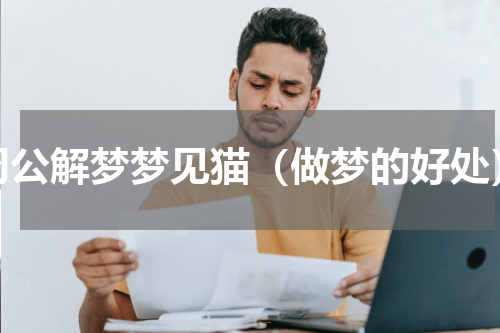周公解梦梦见猫（做梦的好处）