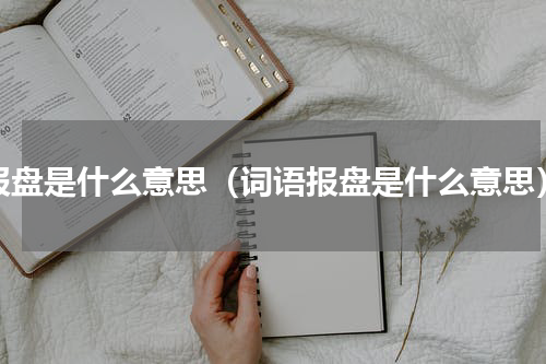 报盘是什么意思（词语报盘是什么意思）