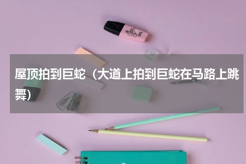 屋顶拍到巨蛇（大道上拍到巨蛇在马路上跳舞）