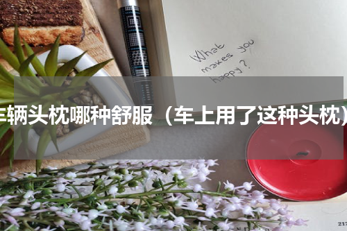 车辆头枕哪种舒服（车上用了这种头枕）
