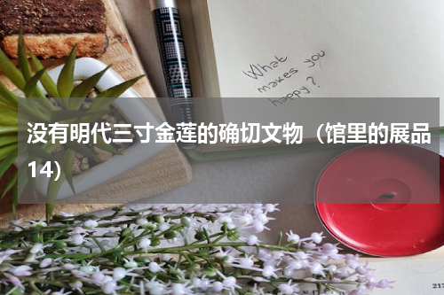 没有明代三寸金莲的确切文物（馆里的展品14）