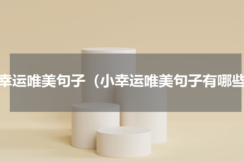 小幸运唯美句子（小幸运唯美句子有哪些）