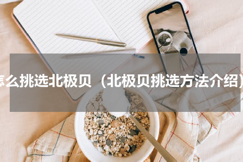 怎么挑选北极贝（北极贝挑选方法介绍）