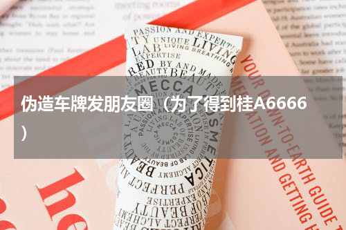 伪造车牌发朋友圈（为了得到桂A6666）