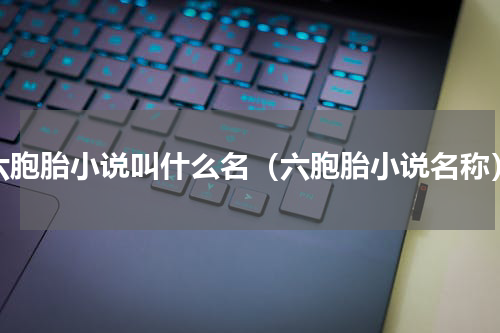 六胞胎小说叫什么名（六胞胎小说名称）