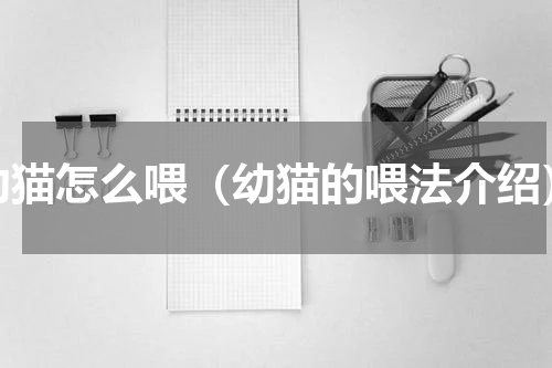 幼猫怎么喂（幼猫的喂法介绍）