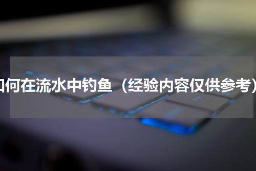 如何在流水中钓鱼（经验内容仅供参考）