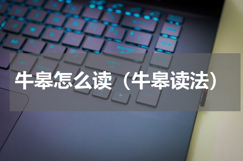 牛皋怎么读（牛皋读法）