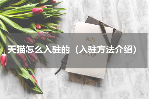 天猫怎么入驻的（入驻方法介绍）