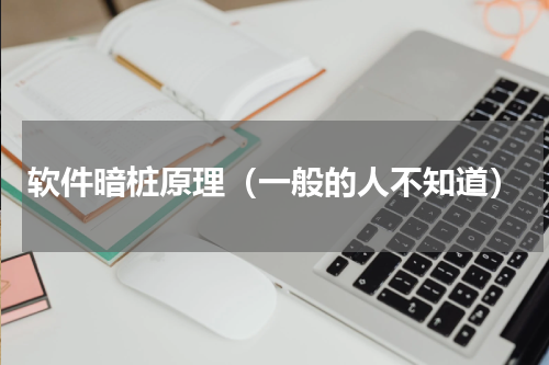 软件暗桩原理（一般的人不知道）