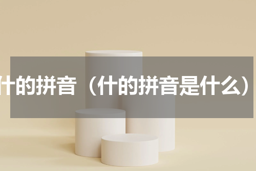 什的拼音（什的拼音是什么）