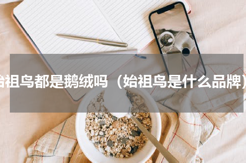 始祖鸟都是鹅绒吗（始祖鸟是什么品牌）