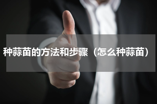 种蒜苗的方法和步骤（怎么种蒜苗）