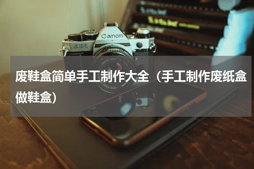 废鞋盒简单手工制作大全（手工制作废纸盒做鞋盒）