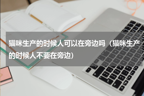 猫咪生产的时候人可以在旁边吗（猫咪生产的时候人不要在旁边）